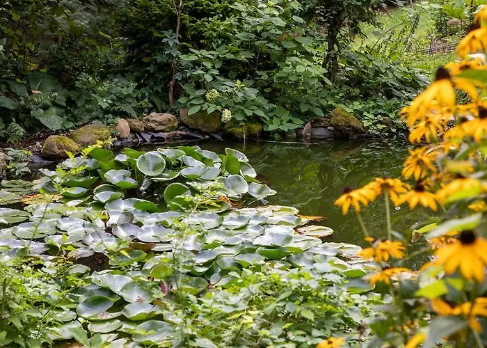 Appartement Louisenvilla *